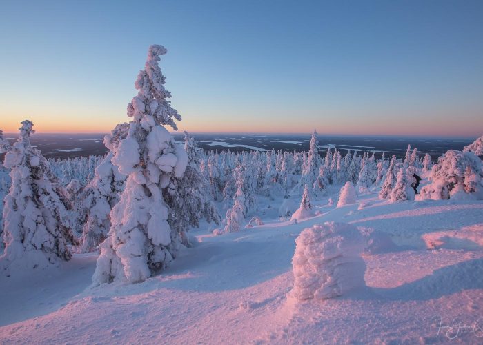 paysage Laponie couvert de neige