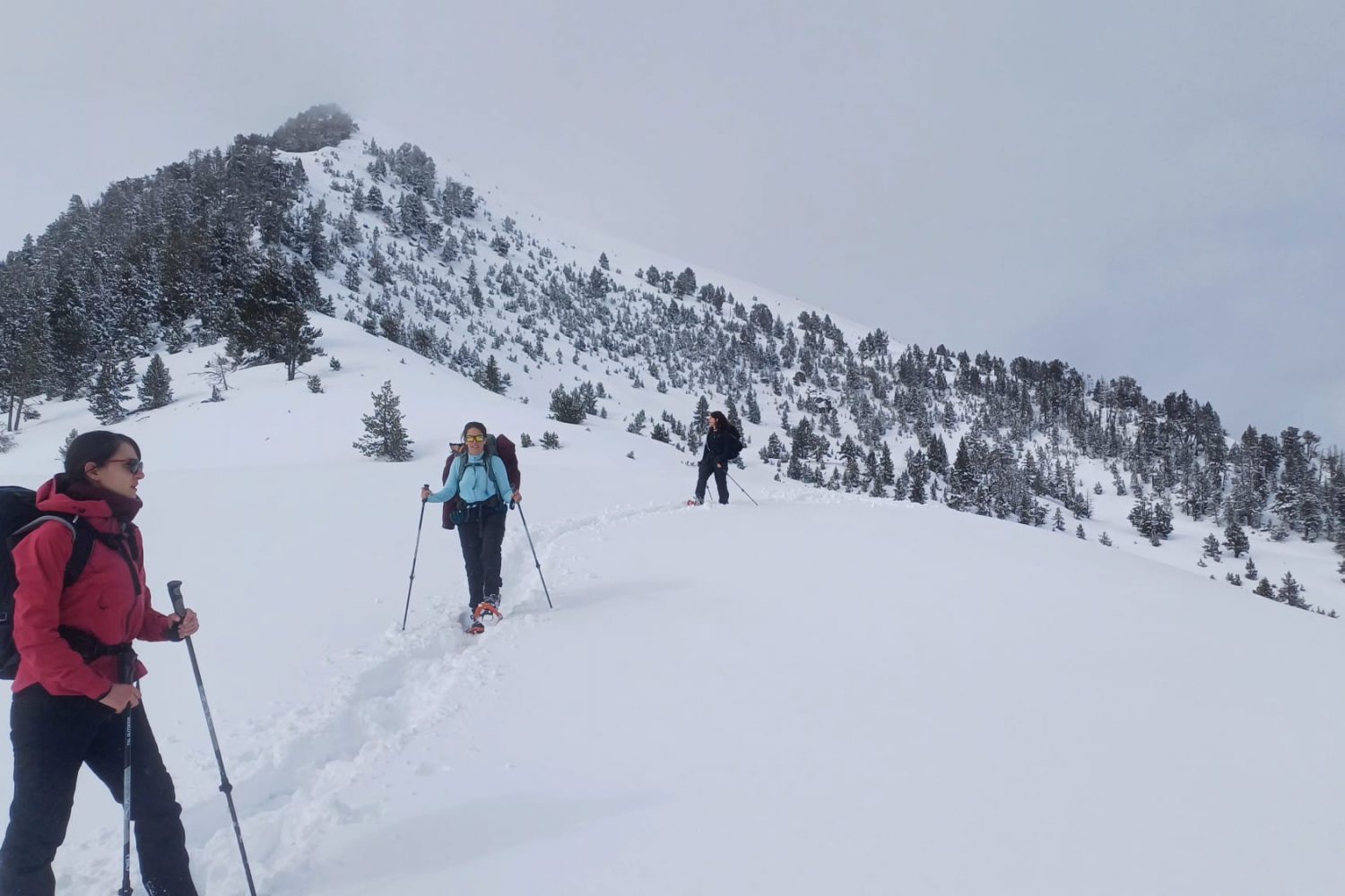 groupe séjour raquette Néouvielle