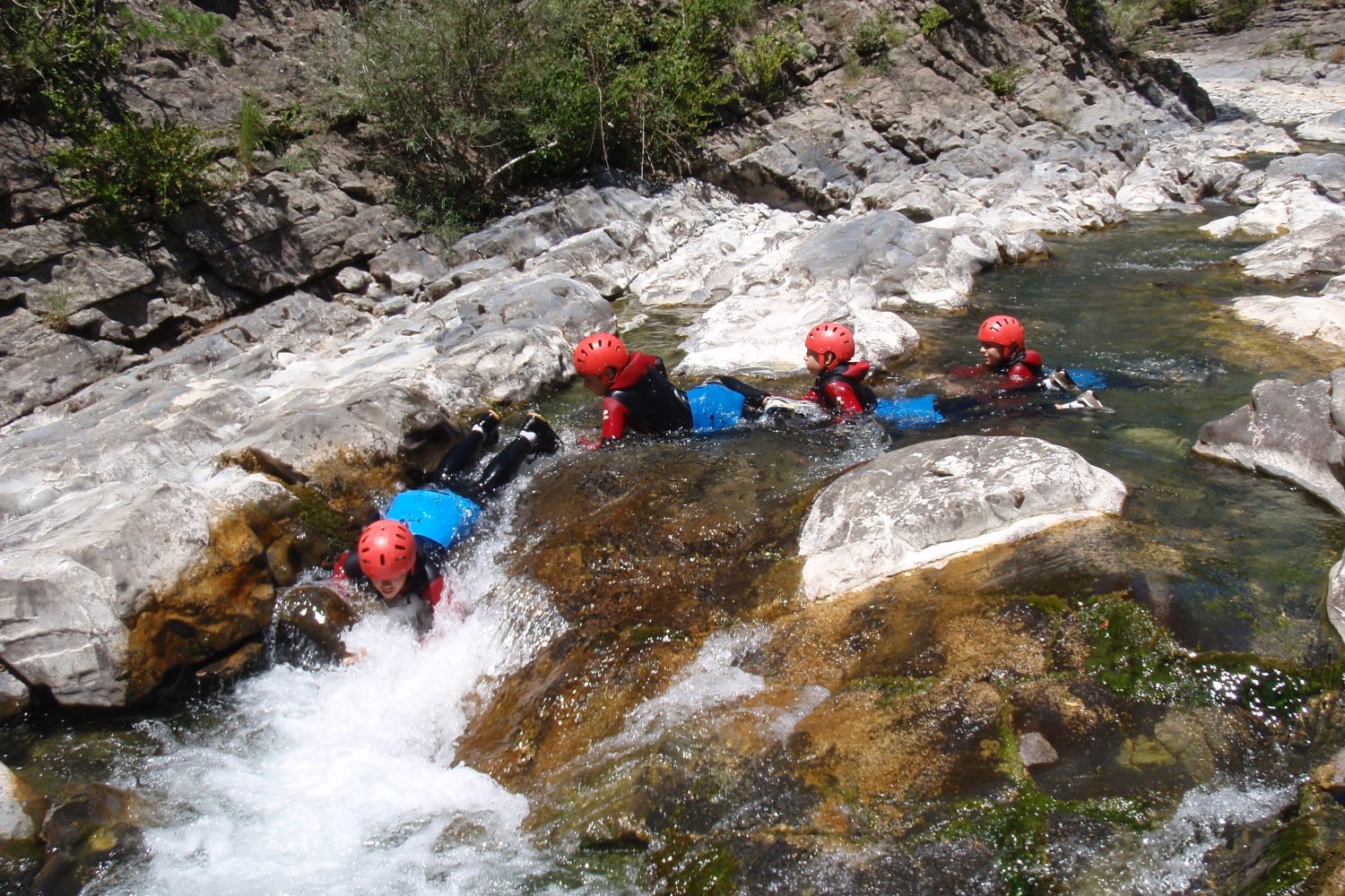 canyon toboggan